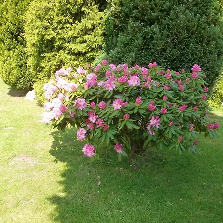 Fehn Appartement - Stay Apartment In Papenburg - Nahe Zentrum, Kueche, Parkplatz & Highspeed Wlan